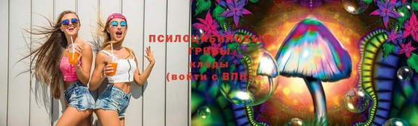 винт Медвежьегорск