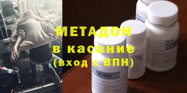 прущие грибы Ачинск