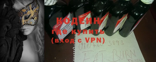 индика Мегион