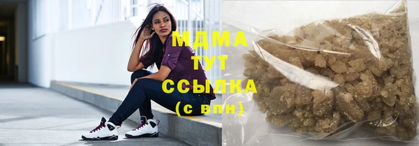 индика Мегион