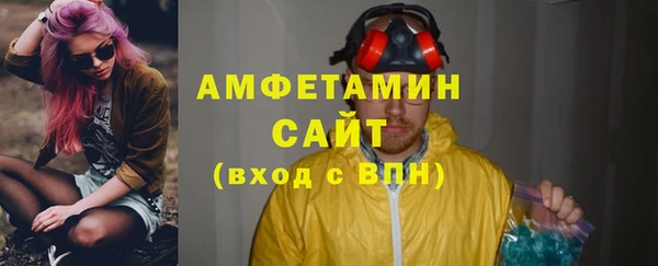 индика Мегион