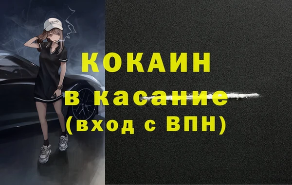 прущие грибы Ачинск