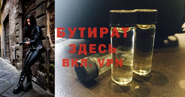 прущие грибы Ачинск