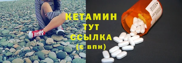 гидра Бердск