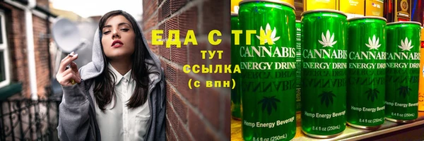 индика Мегион
