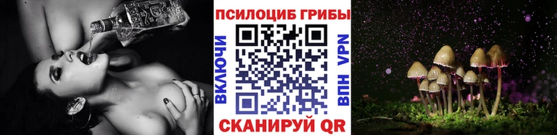 Псилоцибиновые грибы Psilocybine cubensis  Полевской 