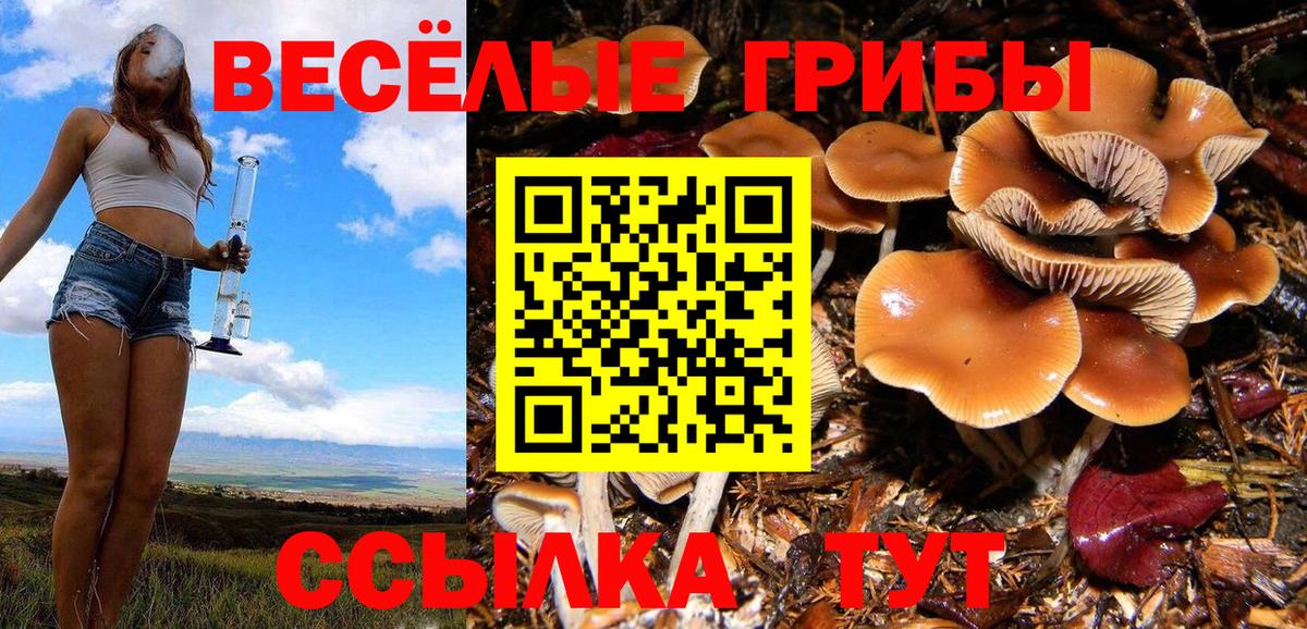 Галлюциногенные грибы мухоморы  Вход с VPN  Псилоцибиновые грибы мицелий  Полевской 