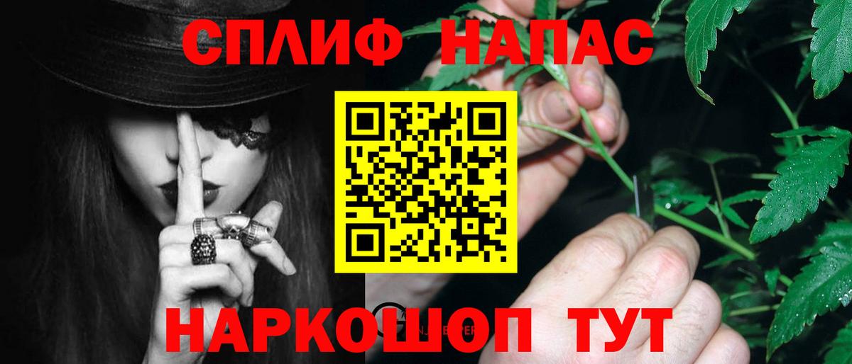 Конопля сатива Полевской